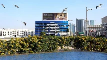 Al Hudaiba