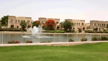 Springs 9